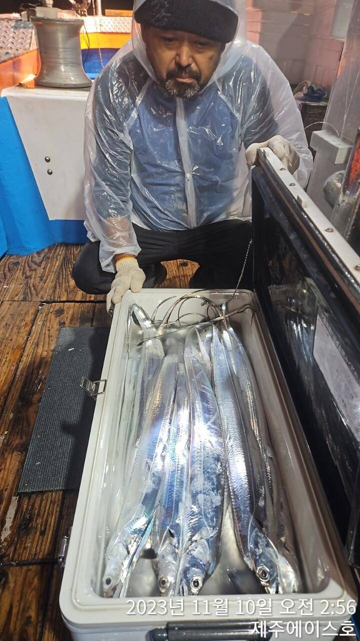 제주에이스호9일씨알굵은갈치조황입니다문의0103548347201038603472 (조황조행기 - 바다선상조황)