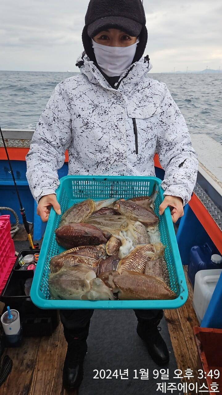제주에이스호9일갑돌이 조황입니다0103548347201038603472 (조황조행기 - 바다선상조황)