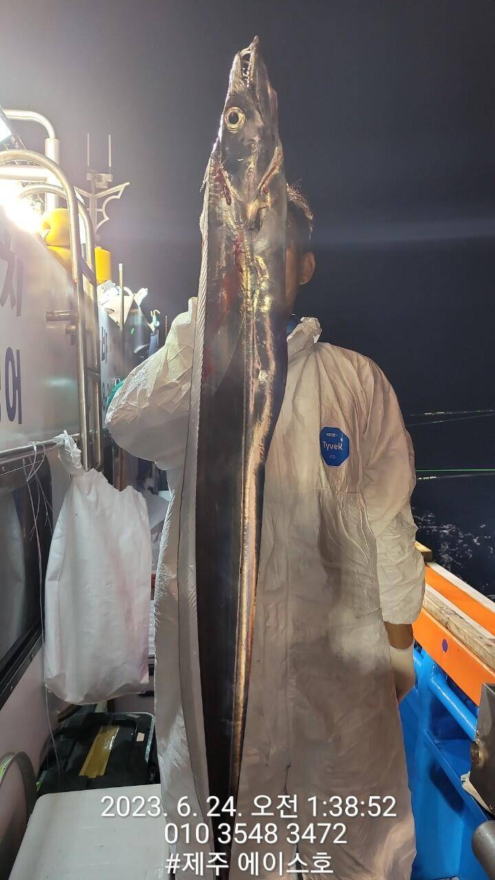 제주에이스호23일대갈치조황입니다 (조황조행기 - 바다선상조황)