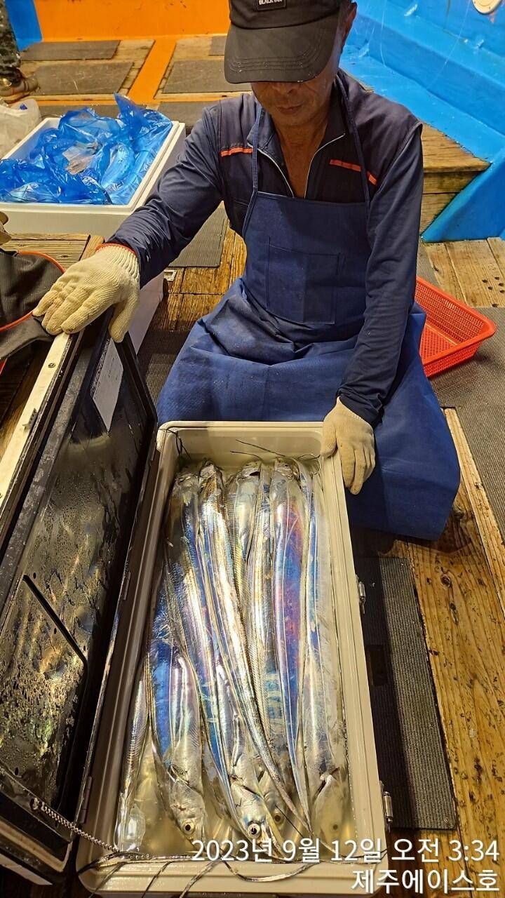 제주에이스호11일쿨러가득 갈치조황입니다문의0103548347201038603472 (조황조행기 - 바다선상조황)
