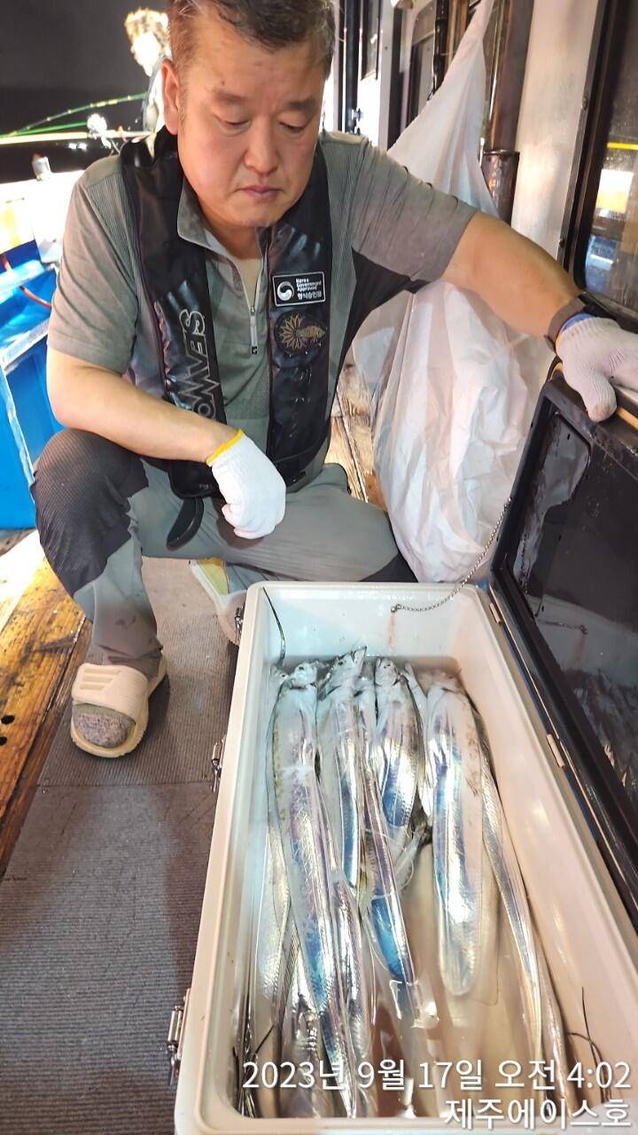 제주에이스호15일쿨러가득갈치 조황이닙다문의0103548347201038603472 (조황조행기 - 바다선상조황)