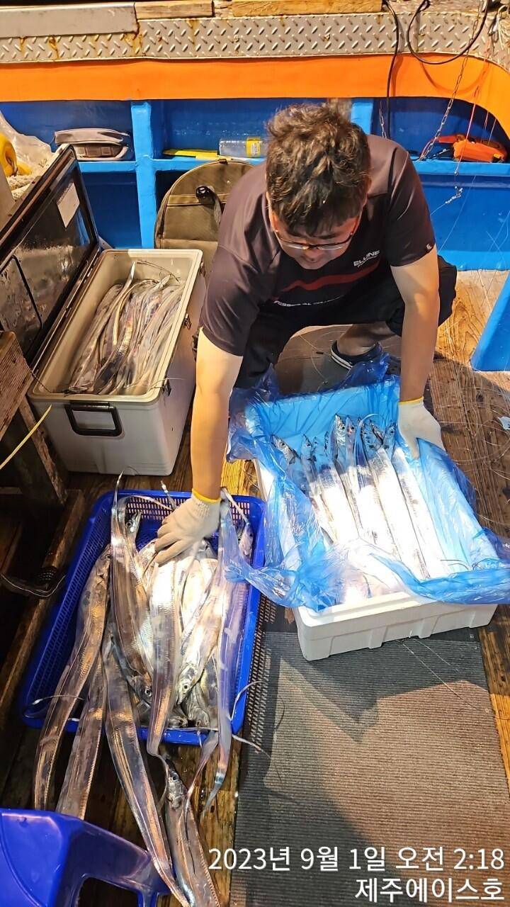 제주에이스호31일전원쿨러가득 갈치조황입니다문의0103548347201038603472 (조황조행기 - 바다선상조황)