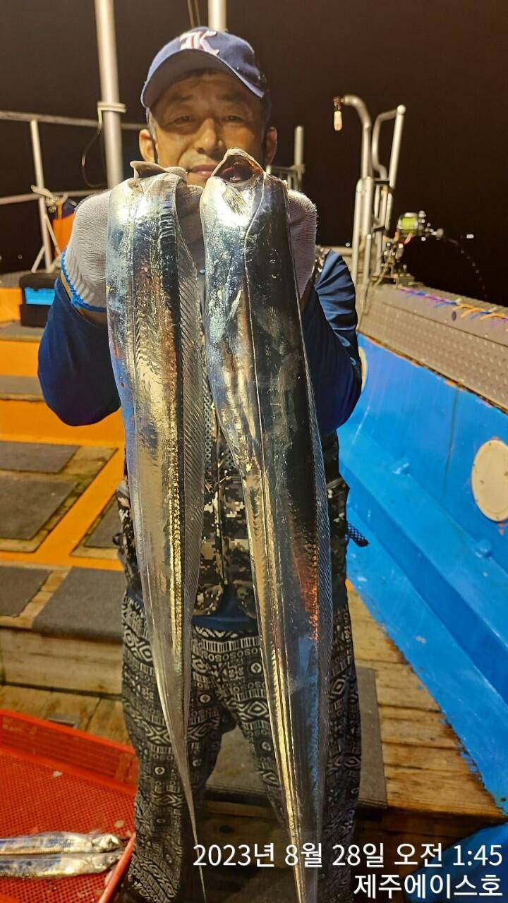 제주에이스호27일갈치조황입니다문의 0103548347201038603472 (조황조행기 - 바다선상조황)