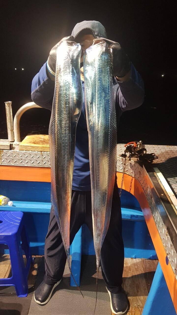 제주에이스호22일대갈치사냥다녀왔습니다전좌석봉동투승기장착무료이용문의0103548347201038603472 (조황조행기 - 바다선상조황)