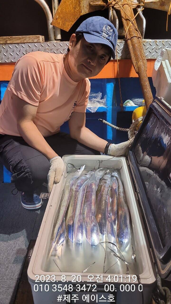 제주에이스호19일갈치조황입니다 전좌석봉돌투승기장착무료이용 문의01035483472 (조황조행기 - 바다선상조황)