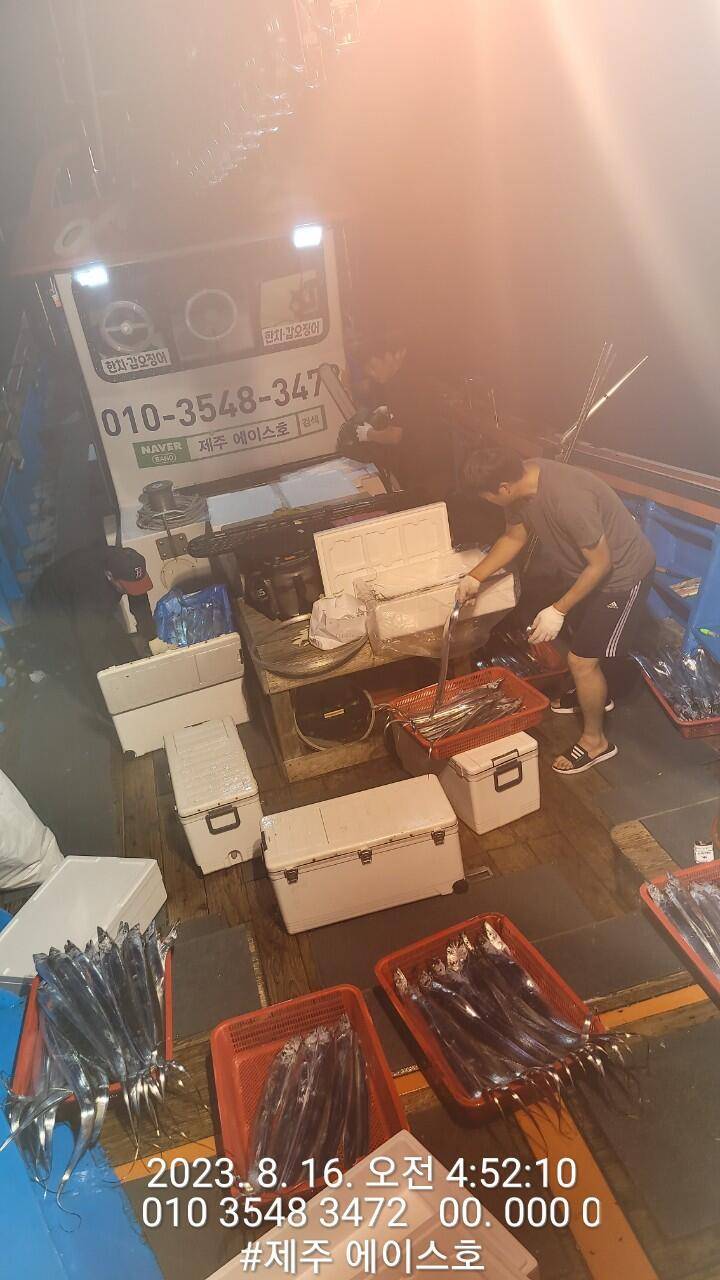 제주에이스호15일갈치조황입니다문의01035483472 전좌석봉돌투승기장착 무료이용12석운영 (조황조행기 - 바다선상조황)