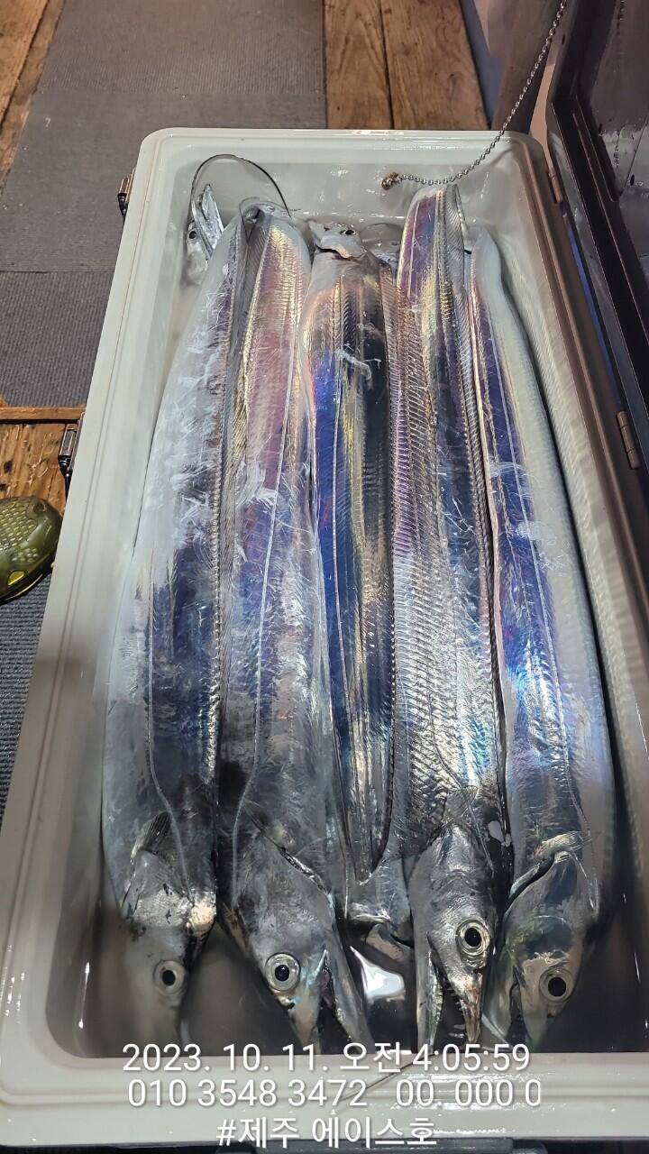 제주에이스호10일갈치조황입니다문의0103548347201038603472 (조황조행기 - 바다선상조황)