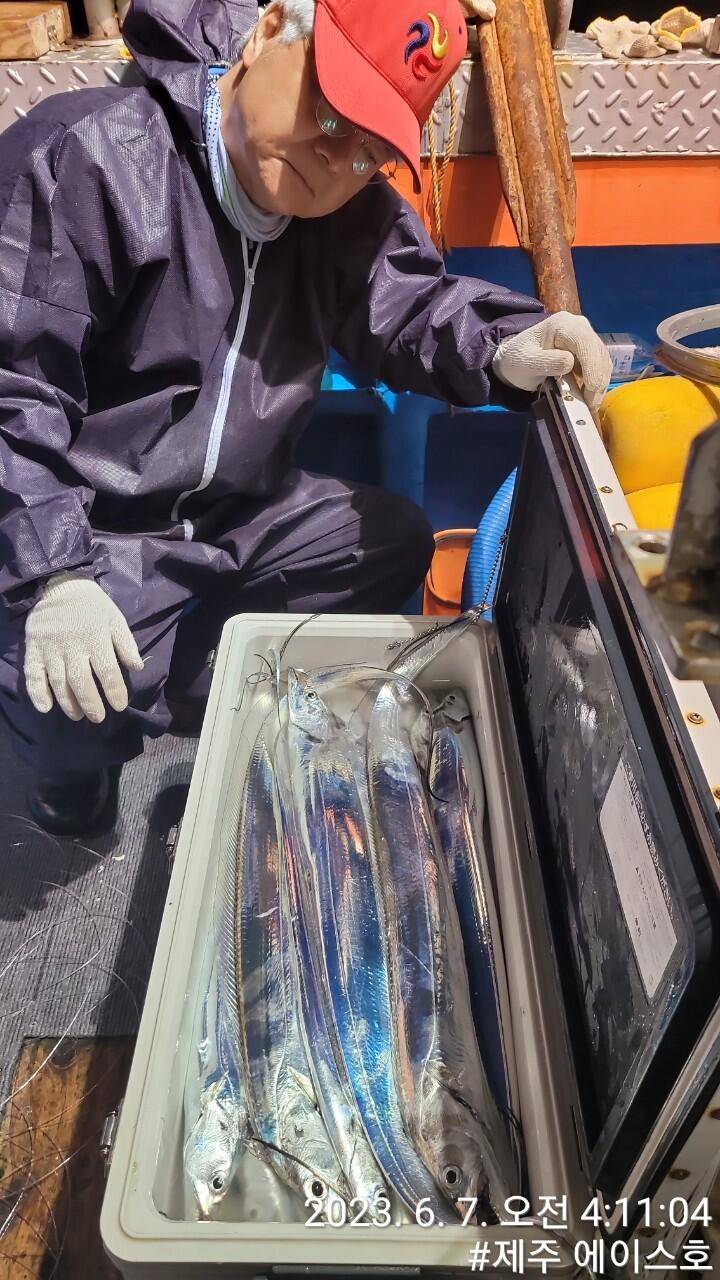 제주에이스호6일대갈치조황입니다전좌석봉돌투승기 무료이용 (조황조행기 - 바다선상조황)