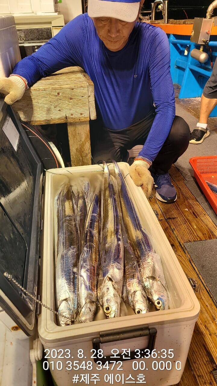 제주에이스호27일갈치조황입니다문의 0103548347201038603472 (조황조행기 - 바다선상조황)