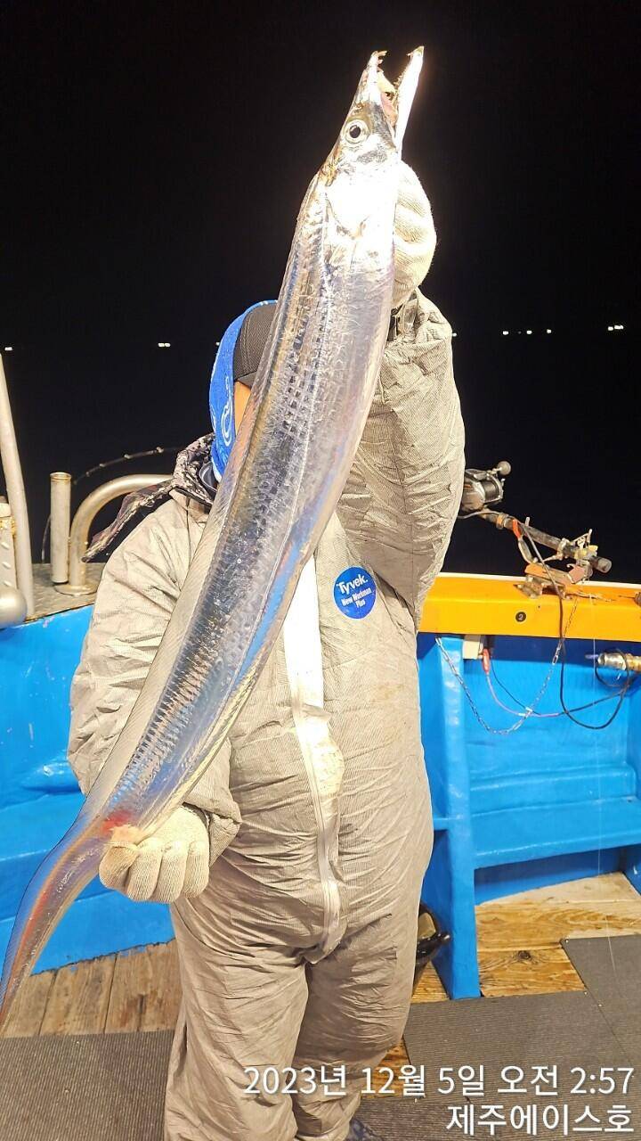 제주에이스호4일갈치조황입니다문의 0103548347201038603472 (조황조행기 - 바다선상조황)