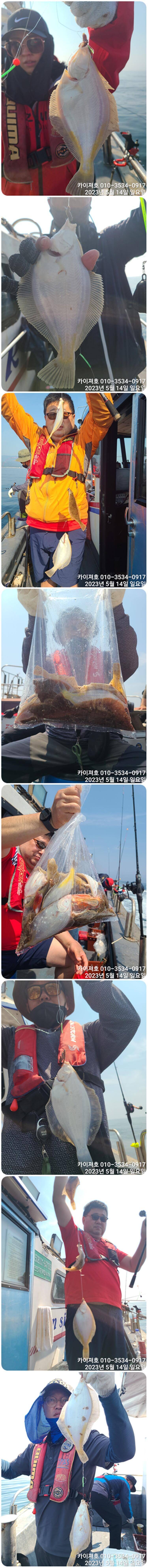 14일 오전 도다리 참가자미 듬뿍도 계시고 덜 듬뿍도 계시네요 (조황조행기 - 바다선상조황)