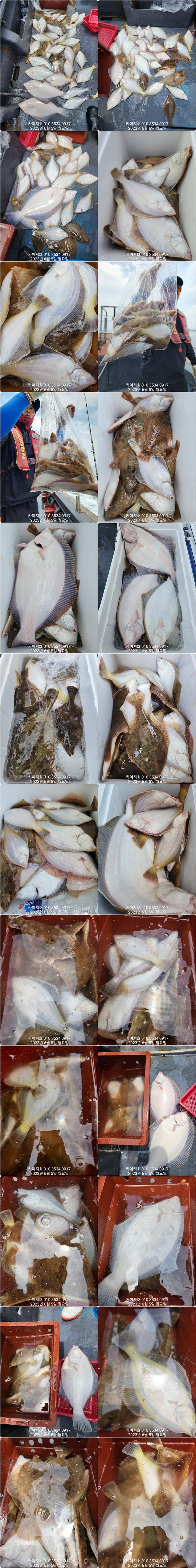 몸만오셔도 마릿수는 빵빵토요일일요일 널널 (조황조행기 - 바다선상조황)