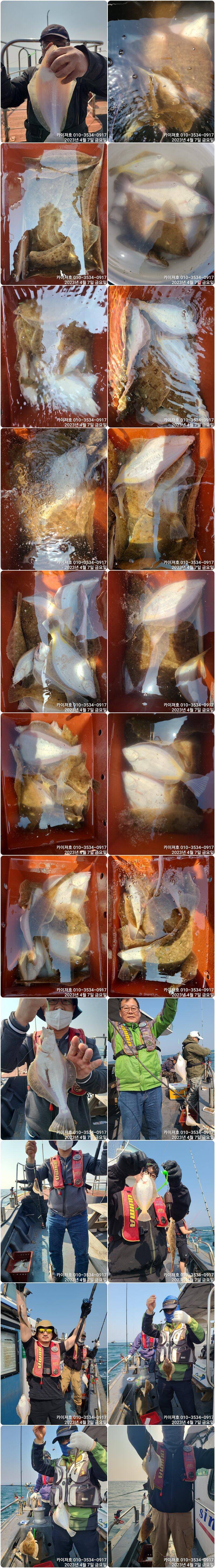 7일 퍼담았습니다 오늘도일오후 월요일 오전여유자리 (조황조행기 - 바다선상조황)