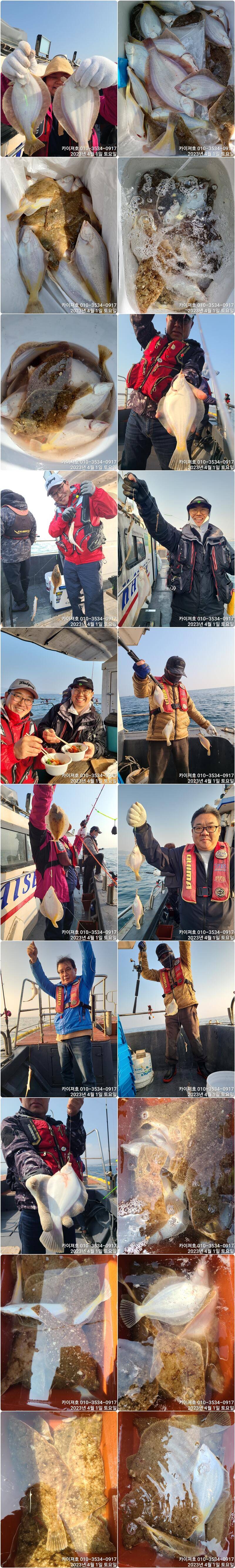 도다리참가자미 퍼담으로 내일9시 출발 (조황조행기 - 바다선상조황)