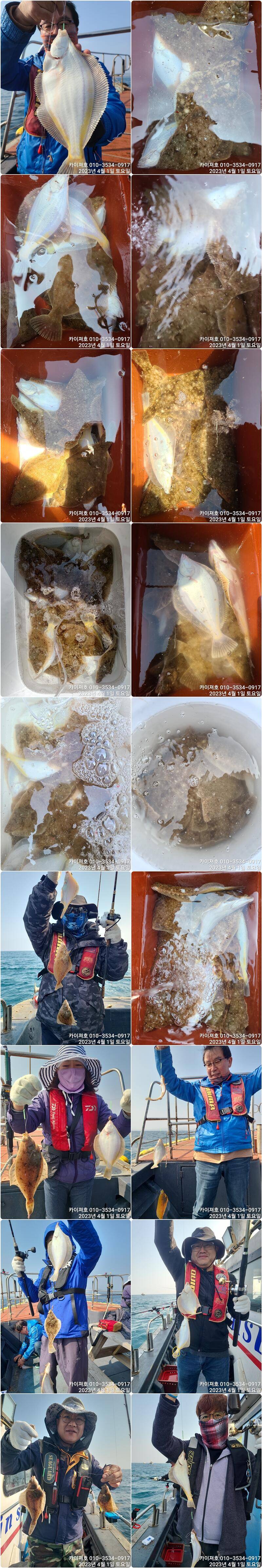도다리참가자미 퍼담으로 내일9시 출발 (조황조행기 - 바다선상조황)