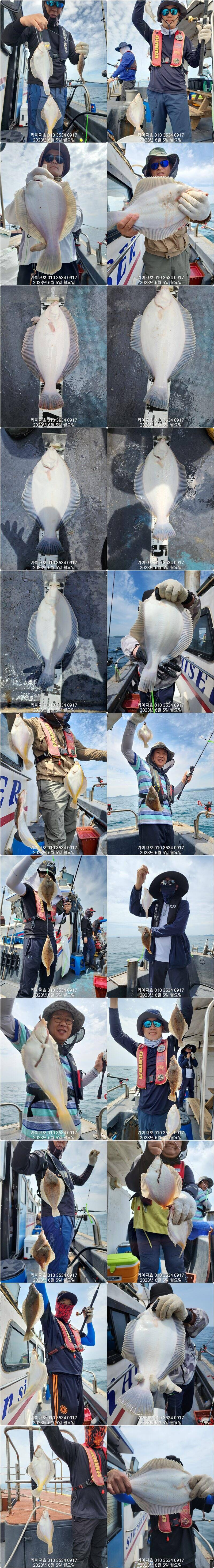 몸만오셔도 마릿수는 빵빵토요일일요일 널널 (조황조행기 - 바다선상조황)