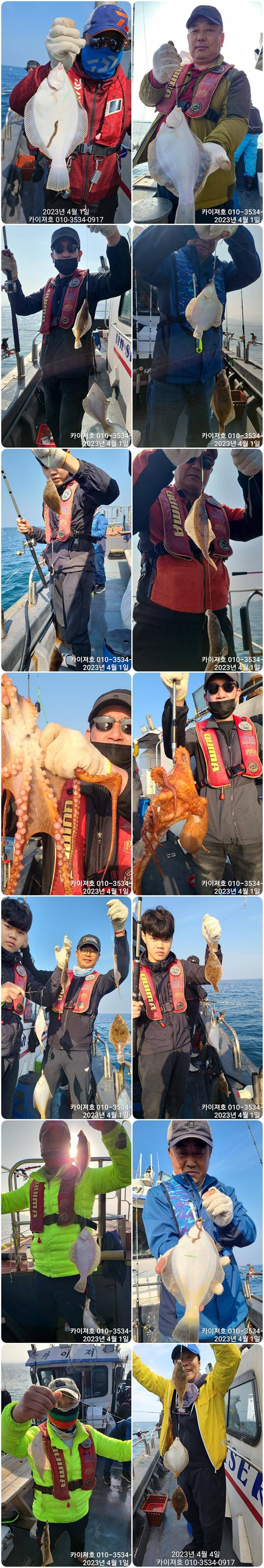 마구마구 퍼담아 도다리가자미 금요일 08시 출항 합니다 (조황조행기 - 바다선상조황)