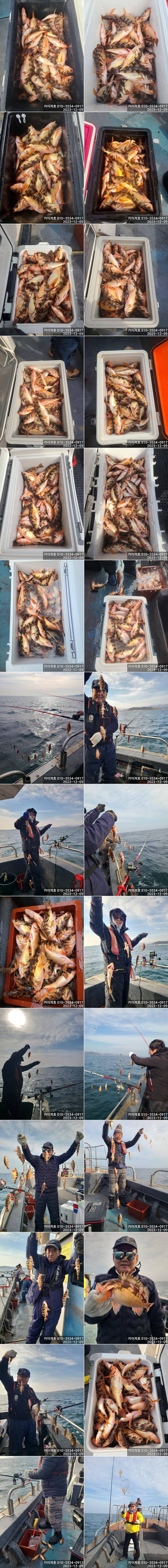 18일오후12시 1타10피 의 줄줄이 열기볼락 손맛 보러 오세요 (조황조행기 - 바다선상조황)