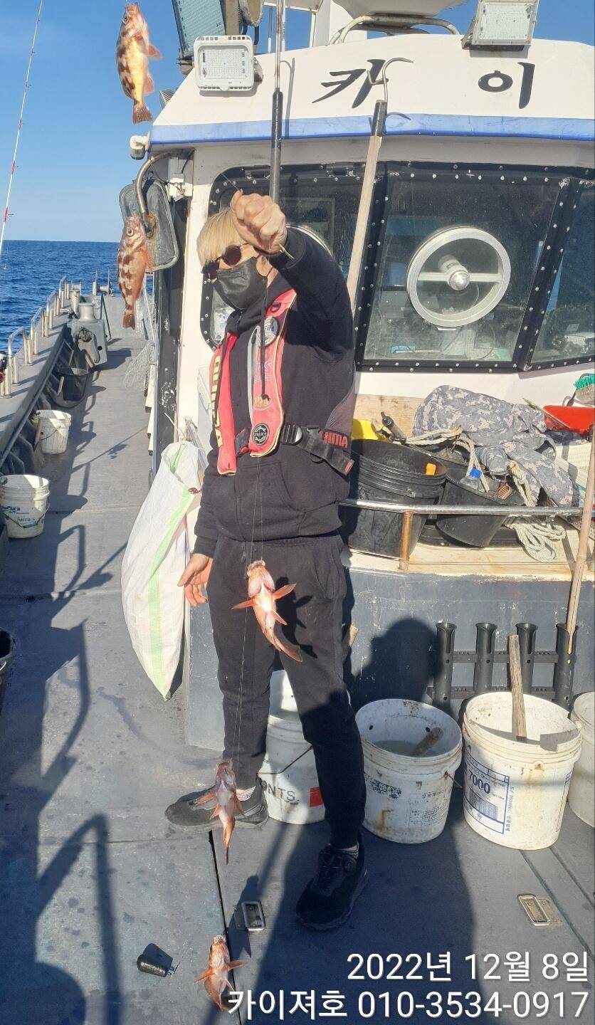 볼락열기 시즌개봉 다음주 부터 (조황조행기 - 바다선상조황)