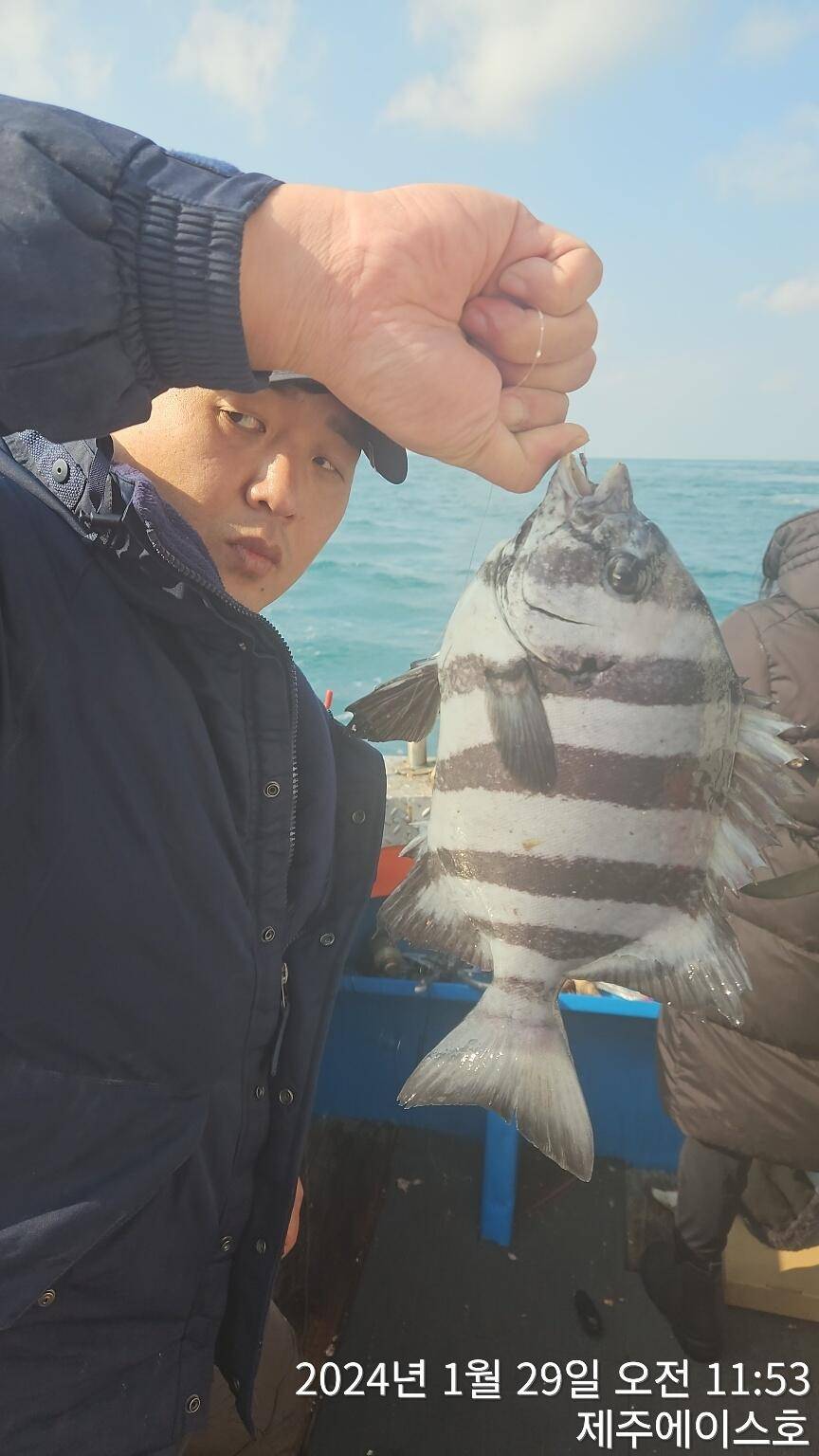 제주에이스호29일돌돔 조황입니다문의0103548347201038603472 (조황조행기 - 바다선상조황)