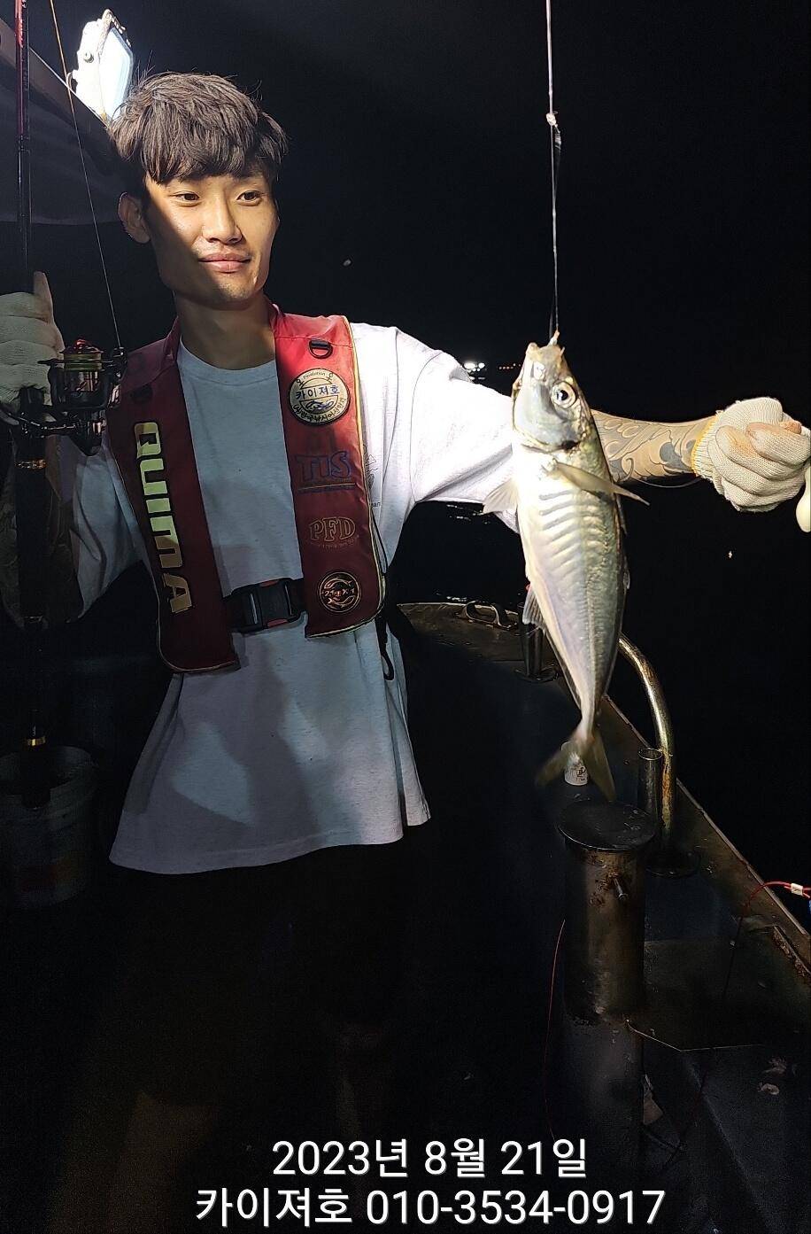 21일 밤 왕고등어 대전갱이 폭팔타작 (조황조행기 - 바다선상조황)