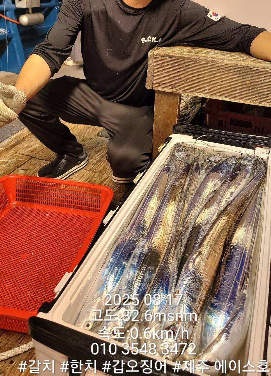제주에이스호8월16일제주갈치조황입니다010 35483472010 3860 3472977톤22인승14석운 (조황조행기 - 바다선상조황)