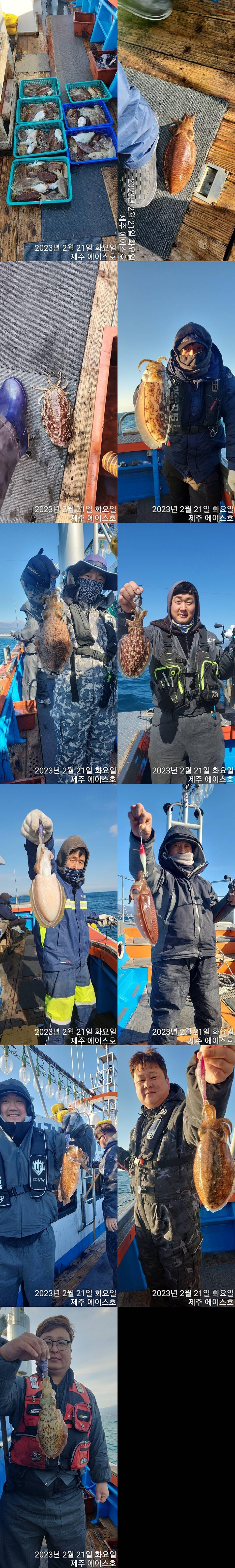 21년 신조선22인승제주에이스호21일갑오징어조황입니다 (조황조행기 - 바다선상조황)
