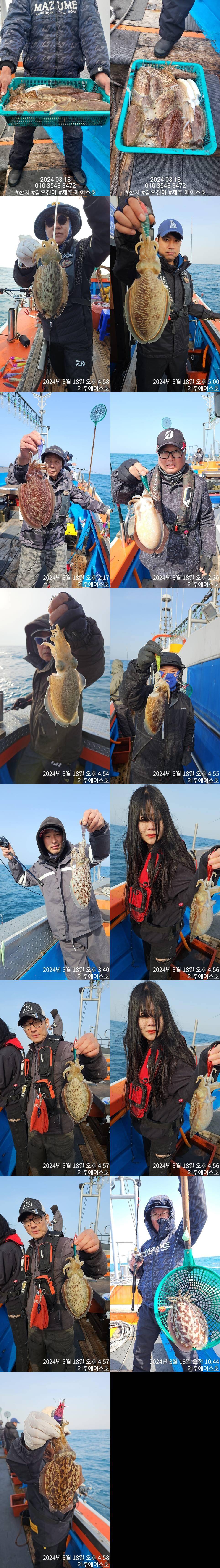 제주에이스호18일갑돌이조황입니다문의010354834720103860347222인승16석운영 (조황조행기 - 바다선상조황)