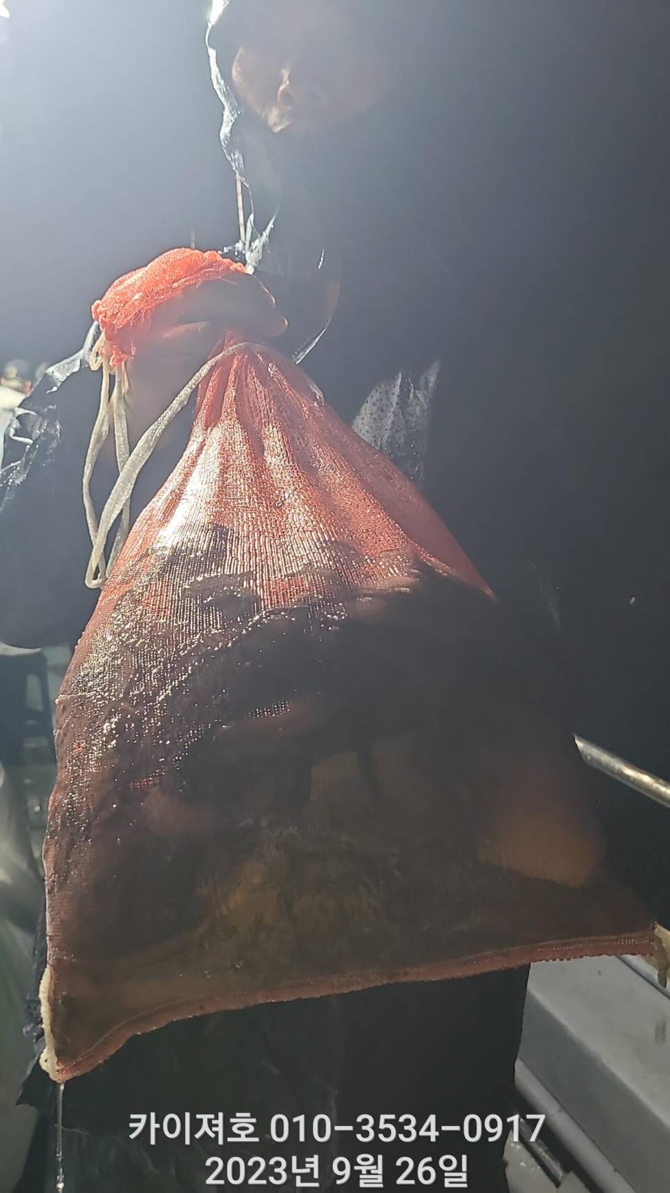 26일 밤 돌문어 조황 좋아요 (조황조행기 - 바다선상조황)