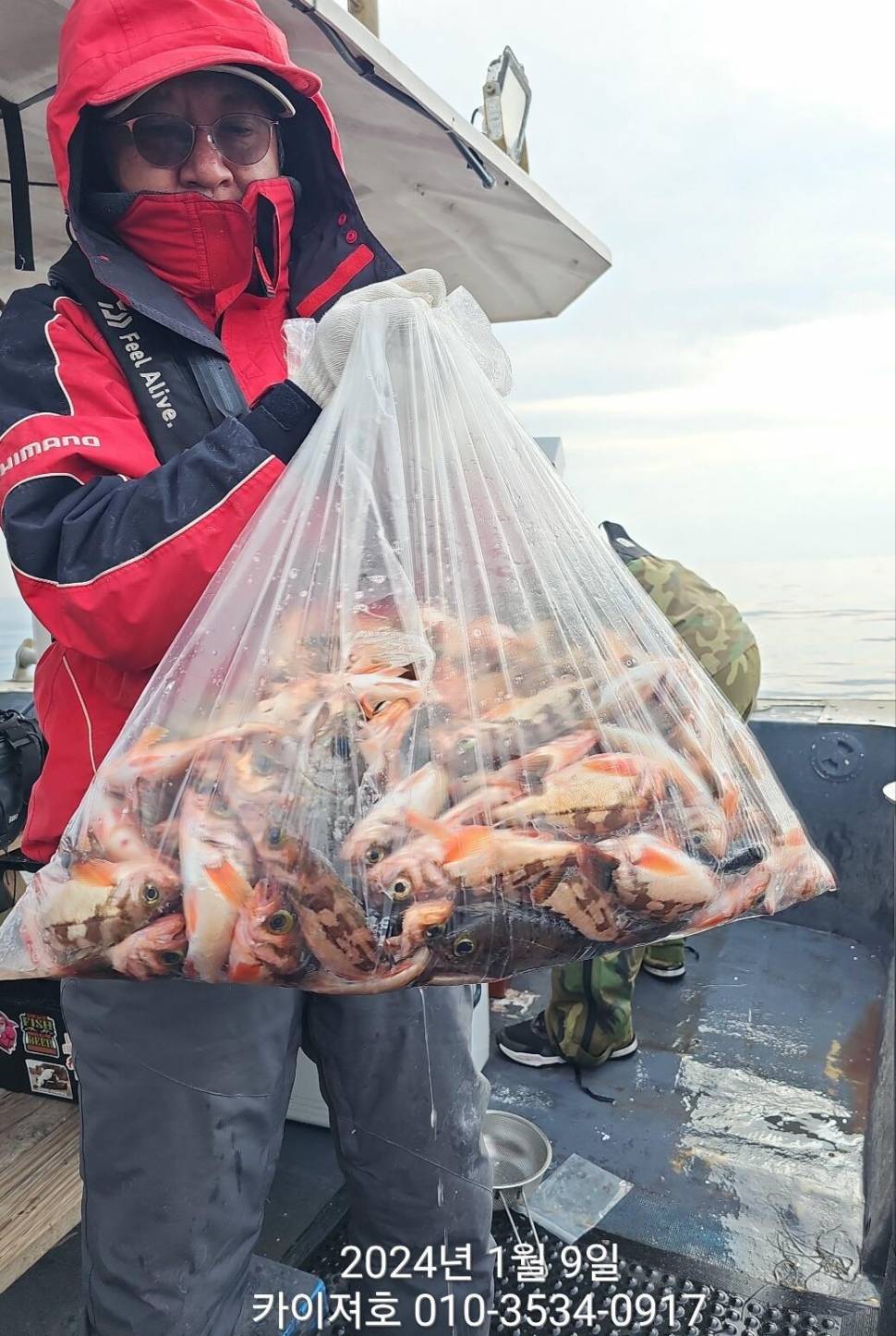 9일볼락열기 마릿수 폭팔 씨알 좋고 (조황조행기 - 바다선상조황)