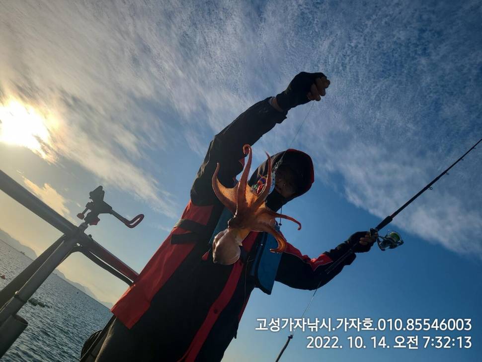 돌문어 실시간 쭈욱 올라옵니다 (조황조행기 - 바다선상조황)
