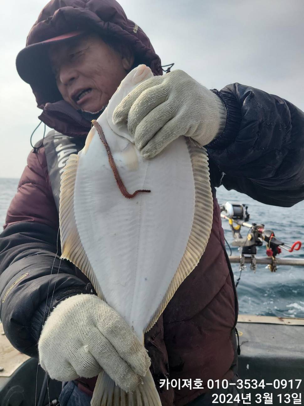 13일 오전오늘도 역시 타작 씨알 마릿수 대박 (조황조행기 - 바다선상조황)