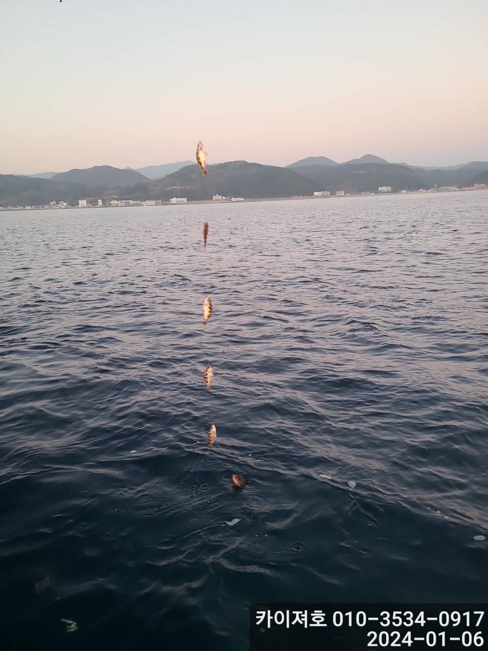 6일오전 볼락열기 줄줄이 두둑합니다 (조황조행기 - 바다선상조황)