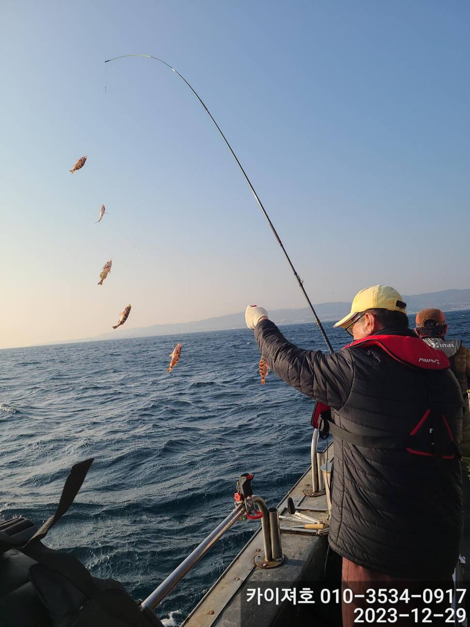 29일 오늘도 타작 엄버지기 볼락열기 (조황조행기 - 바다선상조황)