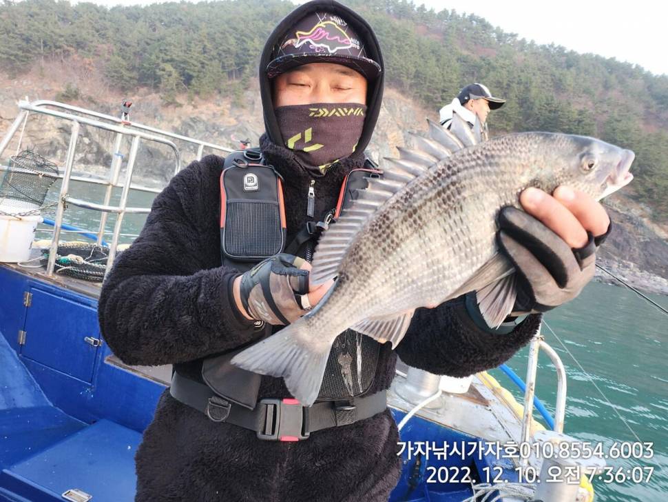 주말 감성돔 조황 (조황조행기 - 바다선상조황)