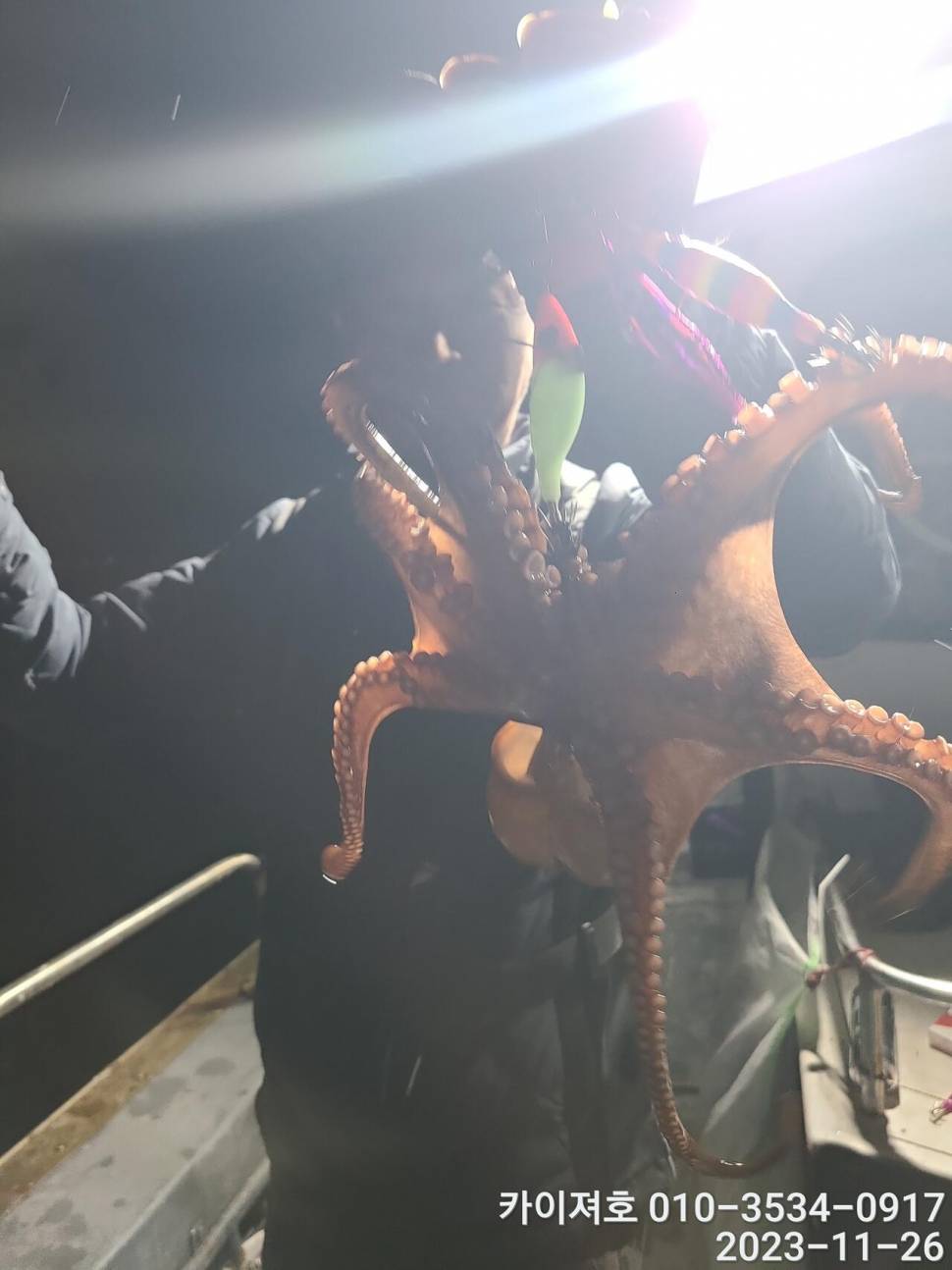 26일 카이져호 돌문어 호조황 오늘도 굿 (조황조행기 - 바다선상조황)