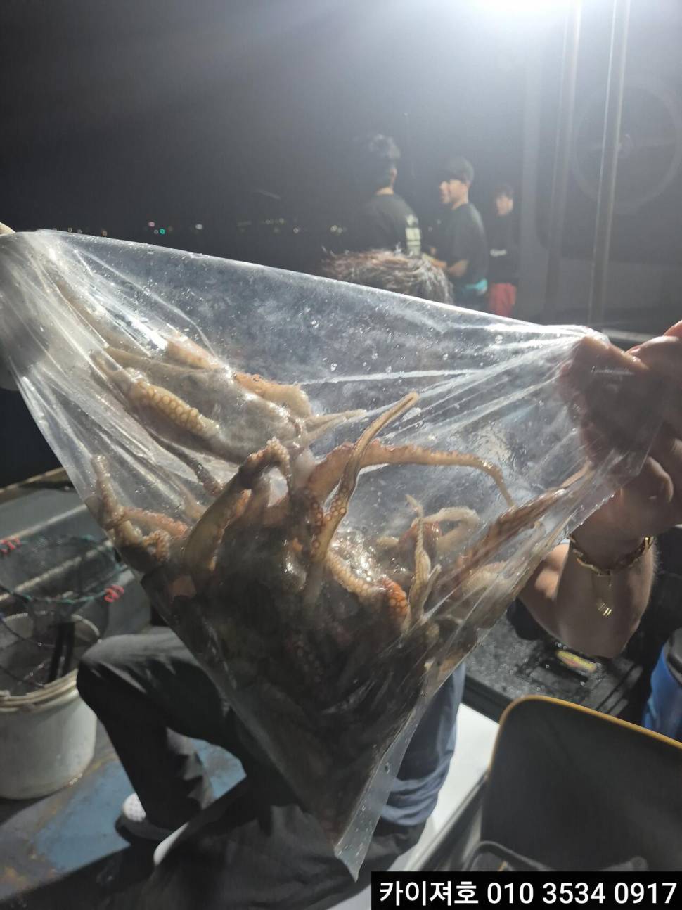 29일 야간 돌문어 조황 (조황조행기 - 바다선상조황)