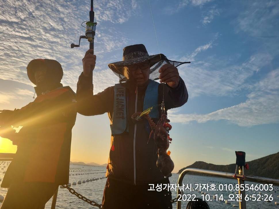 돌문어 실시간 쭈욱 올라옵니다 (조황조행기 - 바다선상조황)