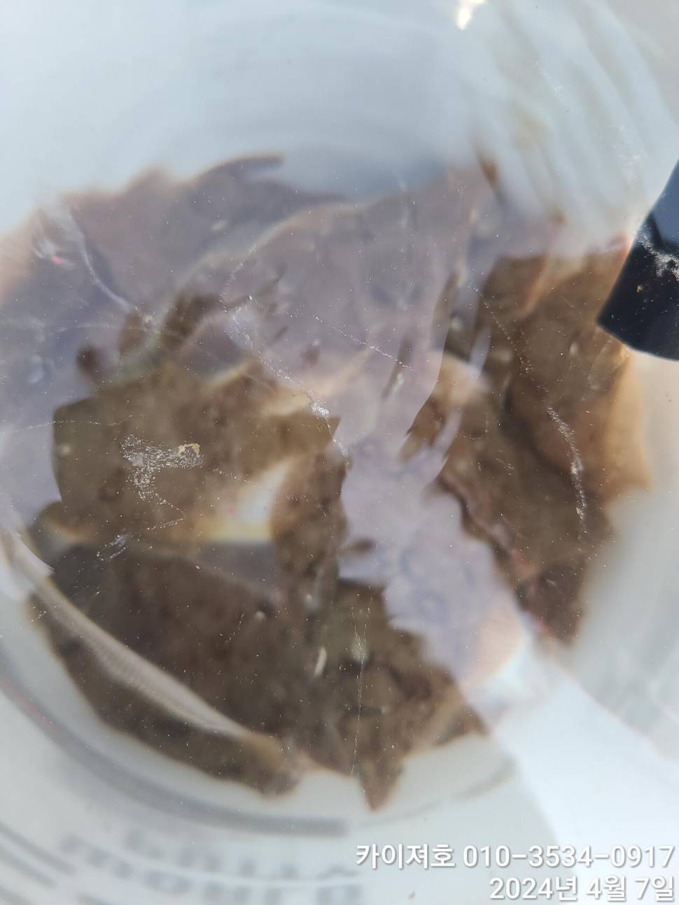 7일 오전 오후마릿수 씨알 대 폭팔 (조황조행기 - 바다선상조황)