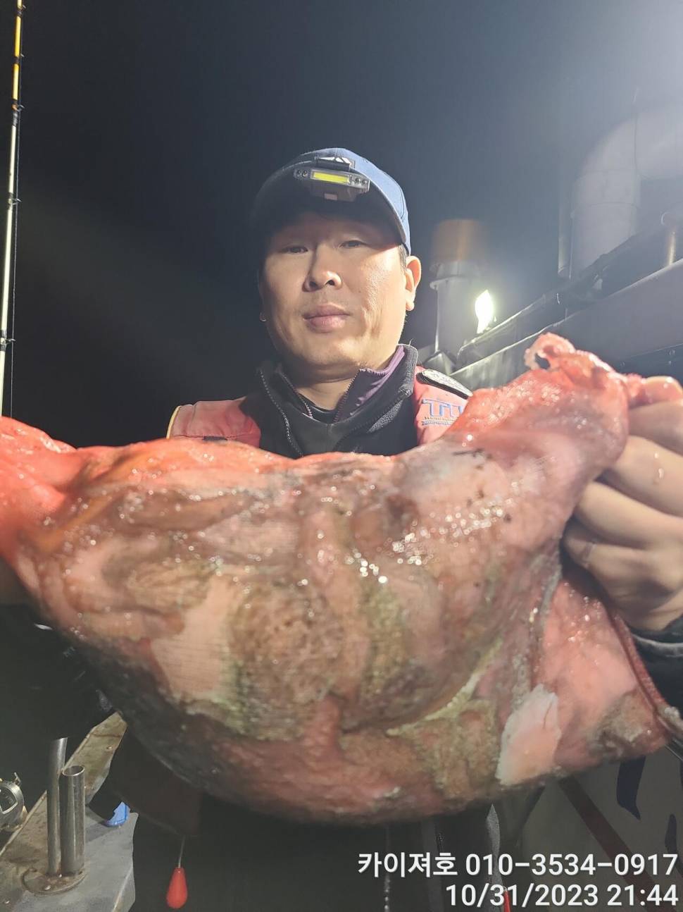 31일 야간 돌문어 조황 대박 (조황조행기 - 바다선상조황)