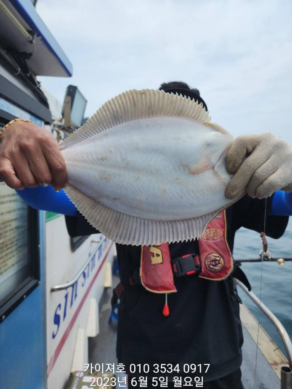 5일 아따 대단해요ㅎ (조황조행기 - 바다선상조황)