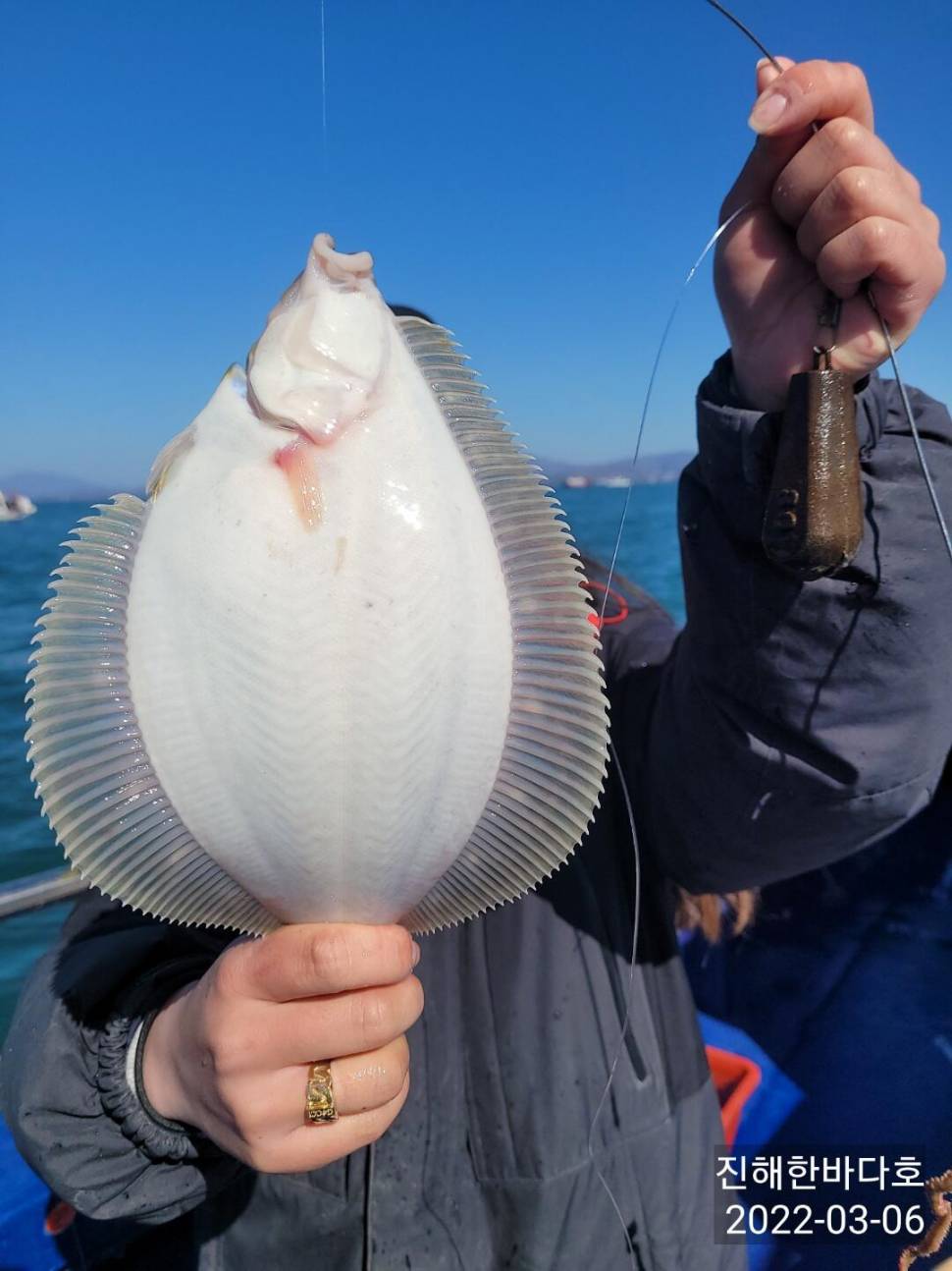 주말동안에도 굵직한 봄도다리 후두두둑 손맛 보시며 기분좋게 즐낚 하고왔습니다0 (조황조행기 - 바다선상조황)