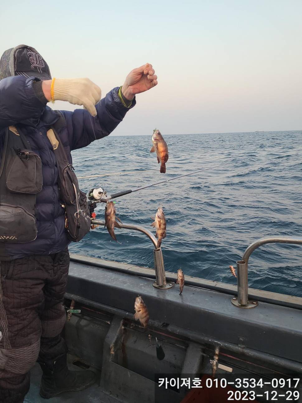 29일 오늘도 타작 엄버지기 볼락열기 (조황조행기 - 바다선상조황)