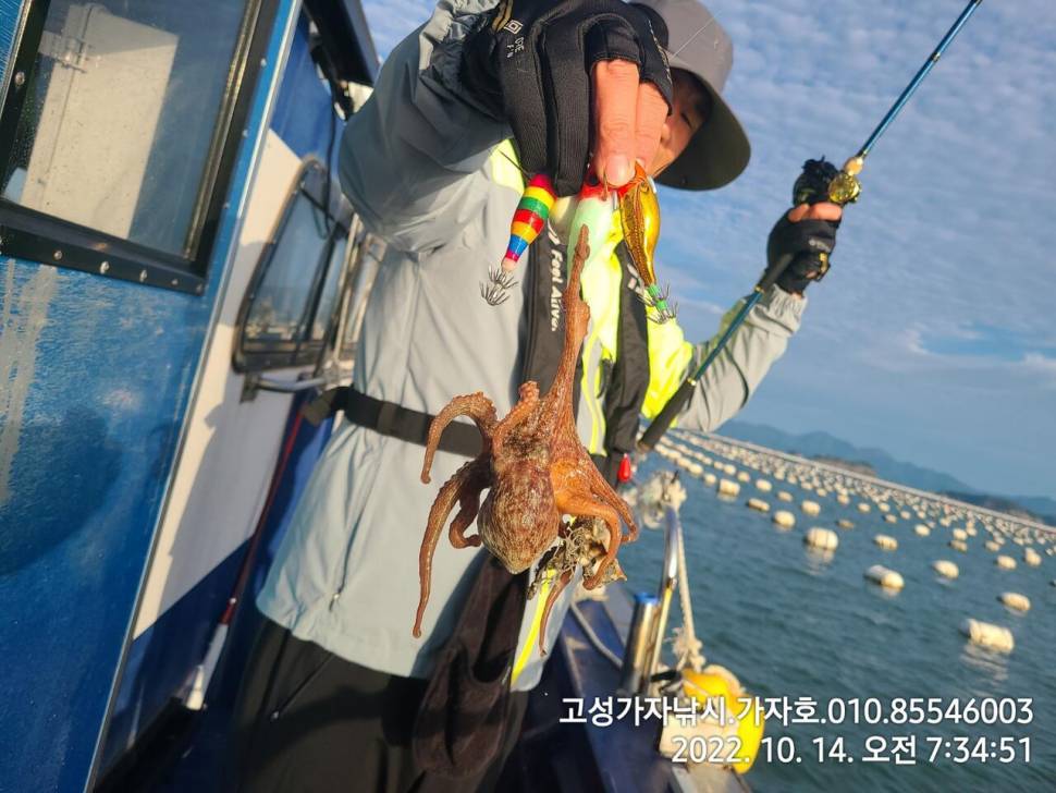돌문어 실시간 쭈욱 올라옵니다 (조황조행기 - 바다선상조황)