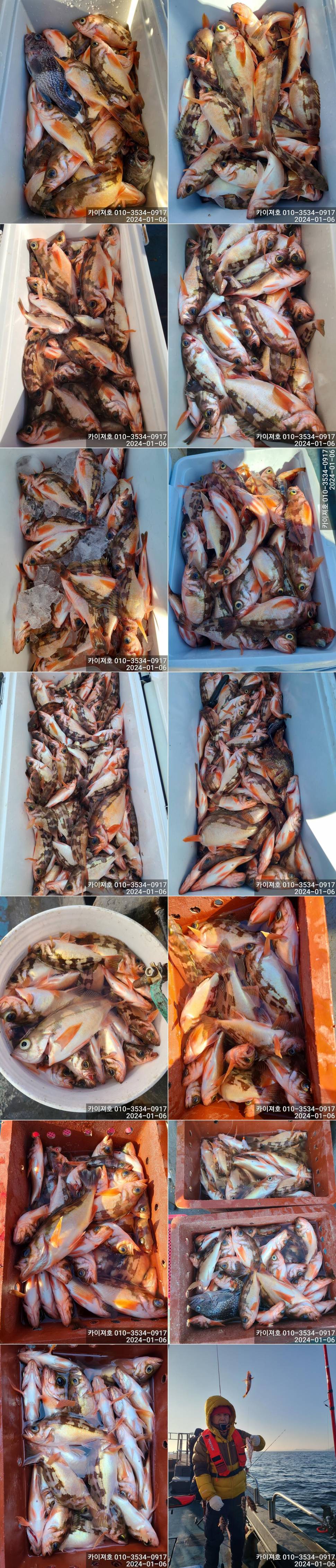 6일 오전오후 모두다 대박 조황 입니다 (조황조행기 - 바다선상조황)