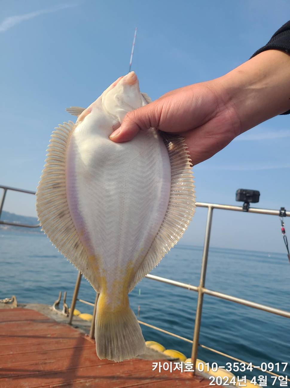 7일 오전 오후마릿수 씨알 대 폭팔 (조황조행기 - 바다선상조황)