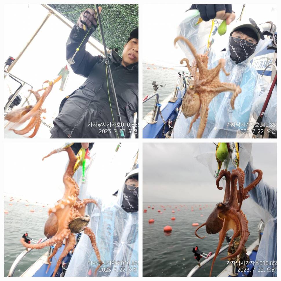 가자호 주말 돌문어 더블히트 (조황조행기 - 바다선상조황)