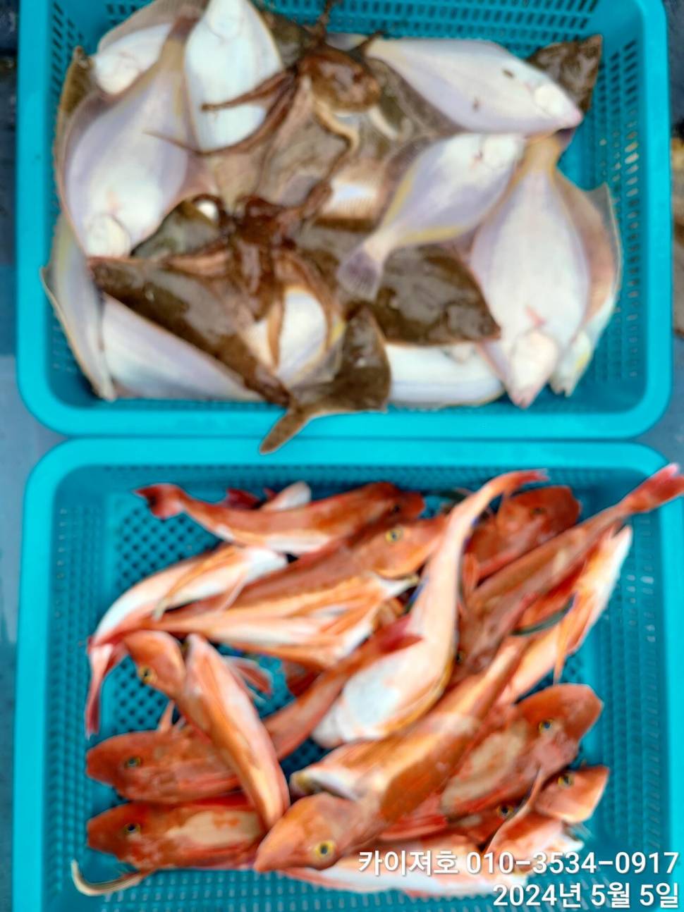 나날이 타작 합니다 날씨만 좋으면요 (조황조행기 - 바다선상조황)