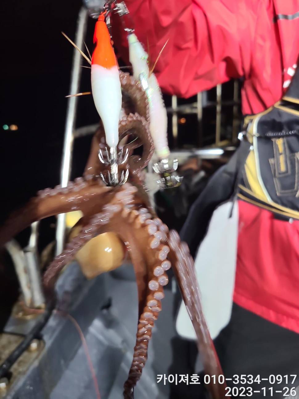 26일 카이져호 돌문어 호조황 오늘도 굿 (조황조행기 - 바다선상조황)