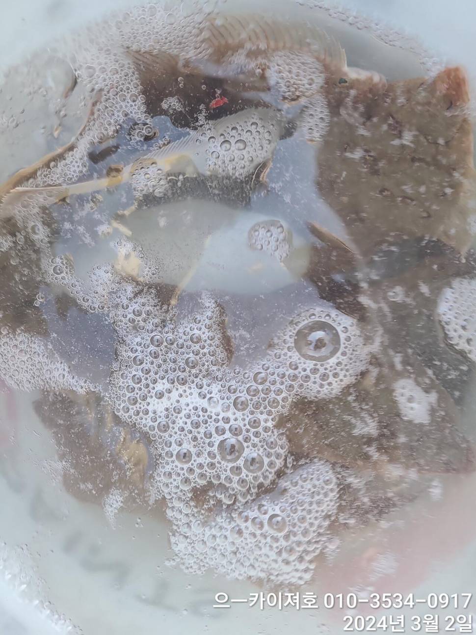2일 오후 도다리참가자미 대박 입니다 (조황조행기 - 바다선상조황)